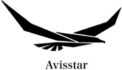 Avisstar  UAV technologies
